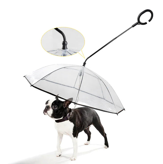RAINGUARD UMBRELLA – Transparenter Hundeschirm für trockene Spaziergänge bei Regen